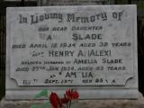 image of grave number 916712